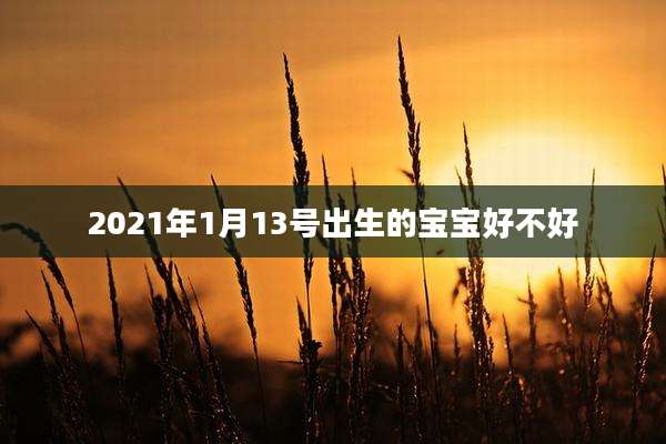 2021年1月13号出生的宝宝好不好