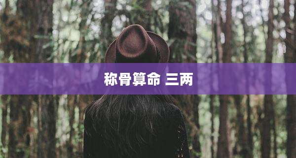 称骨算命 三两