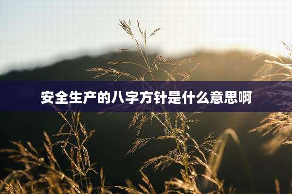 安全生产的八字方针是什么意思啊