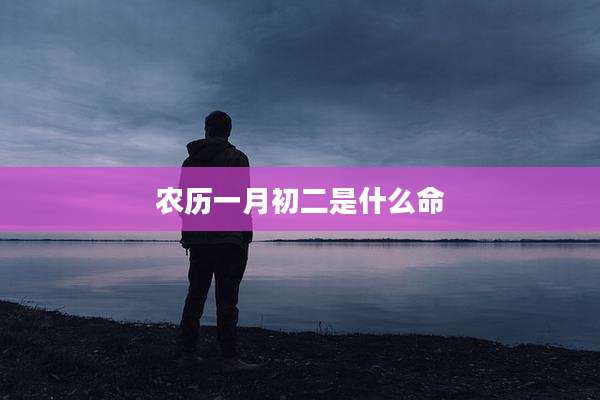 农历一月初二是什么命