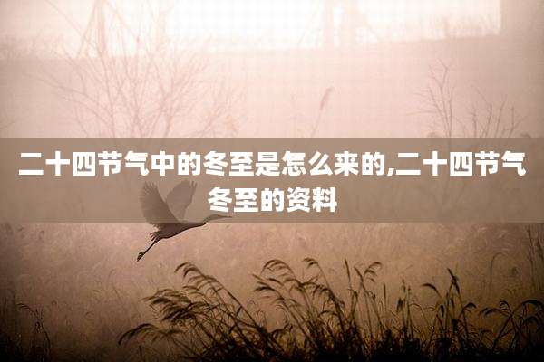 二十四节气中的冬至是怎么来的,二十四节气冬至的资料