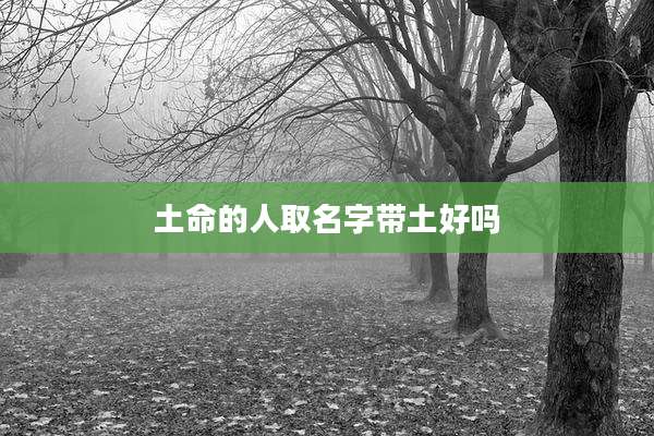 土命的人取名字带土好吗