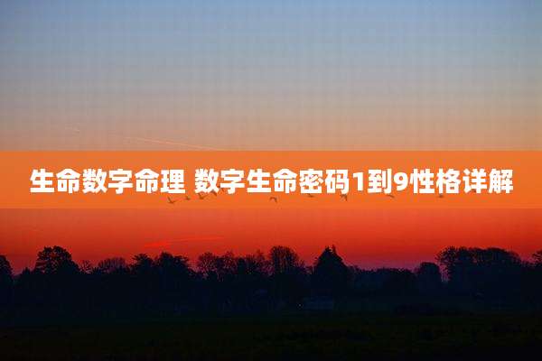 生命数字命理 数字生命密码1到9性格详解