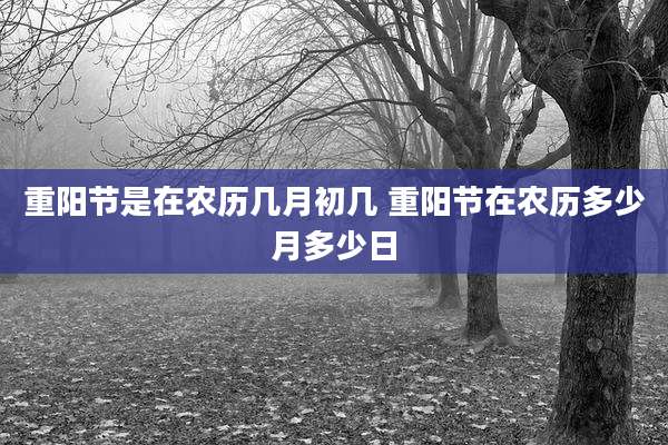 重阳节是在农历几月初几 重阳节在农历多少月多少日