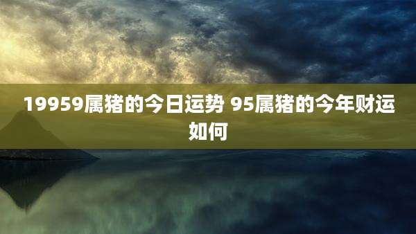 19959属猪的今日运势 95属猪的今年财运如何