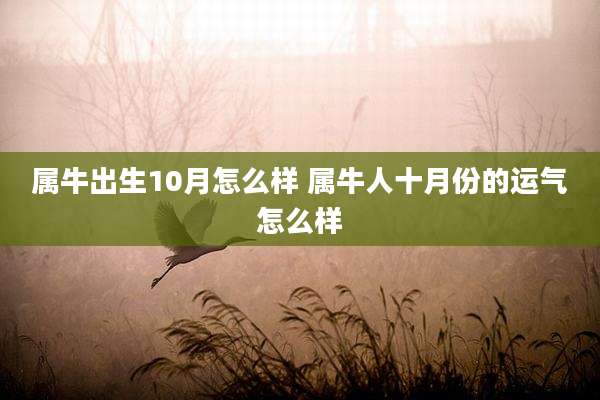 属牛出生10月怎么样 属牛人十月份的运气怎么样