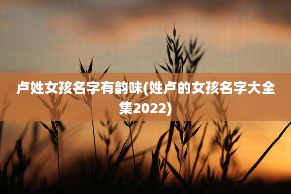 卢姓女孩名字有韵味(姓卢的女孩名字大全集2022)