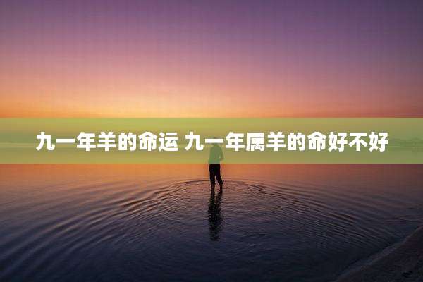 九一年羊的命运 九一年属羊的命好不好