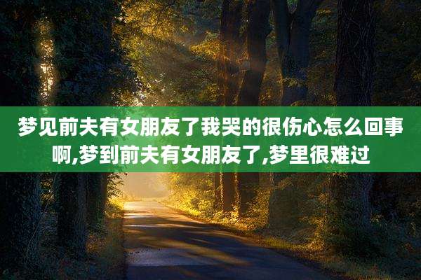 梦见前夫有女朋友了我哭的很伤心怎么回事啊,梦到前夫有女朋友了,梦里很难过