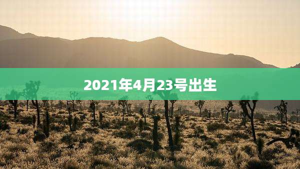 2021年4月23号出生