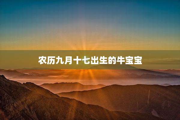 农历九月十七出生的牛宝宝