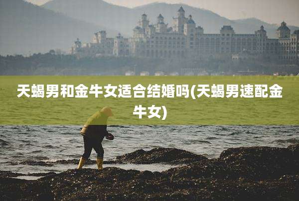 天蝎男和金牛女适合结婚吗(天蝎男速配金牛女)
