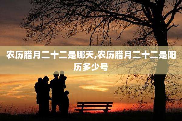 农历腊月二十二是哪天,农历腊月二十二是阳历多少号