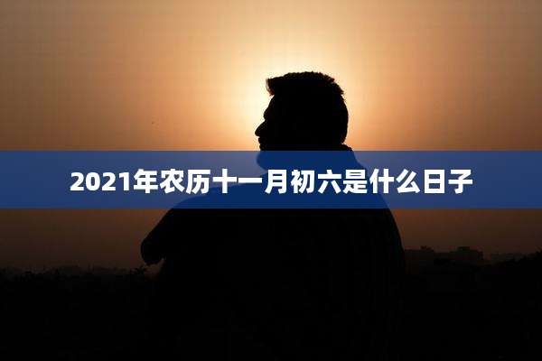 2021年农历十一月初六是什么日子