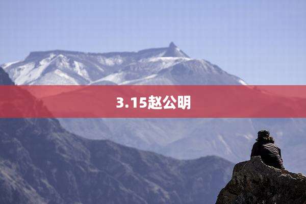 3.15赵公明
