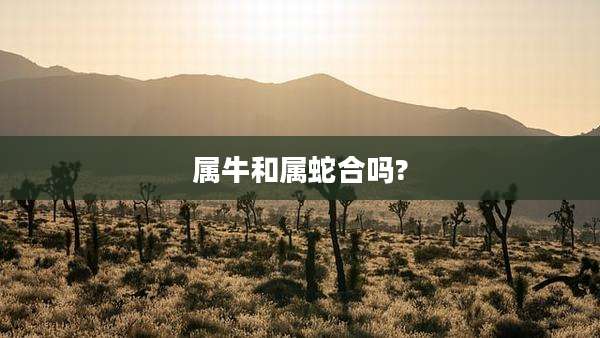 属牛和属蛇合吗?