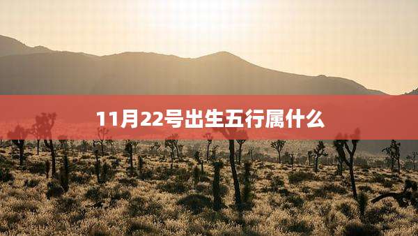 11月22号出生五行属什么