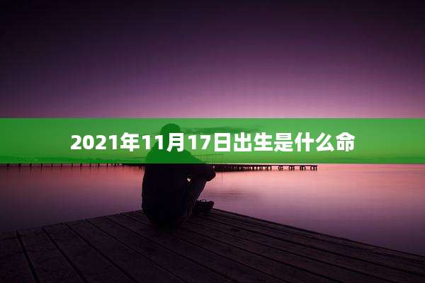 2021年11月17日出生是什么命