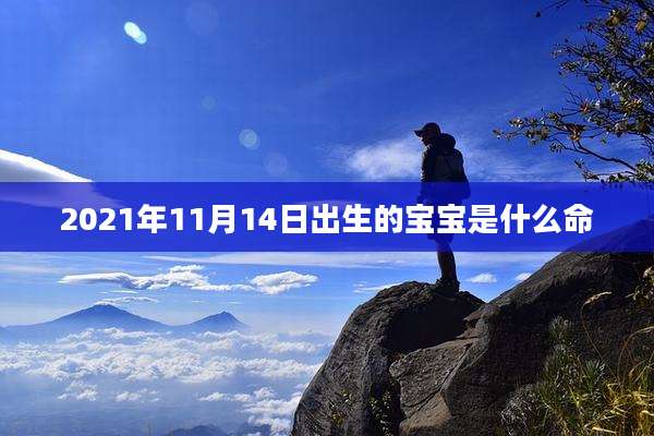 2021年11月14日出生的宝宝是什么命