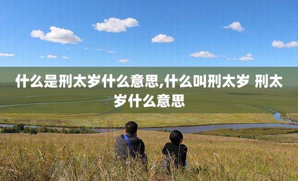 什么是刑太岁什么意思,什么叫刑太岁 刑太岁什么意思