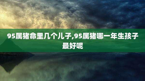 95属猪命里几个儿子,95属猪哪一年生孩子最好呢