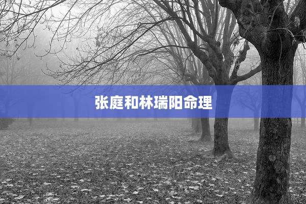 张庭和林瑞阳命理