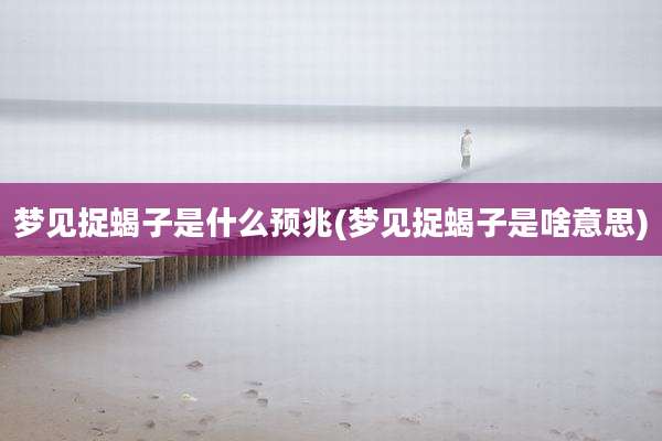 梦见捉蝎子是什么预兆(梦见捉蝎子是啥意思)