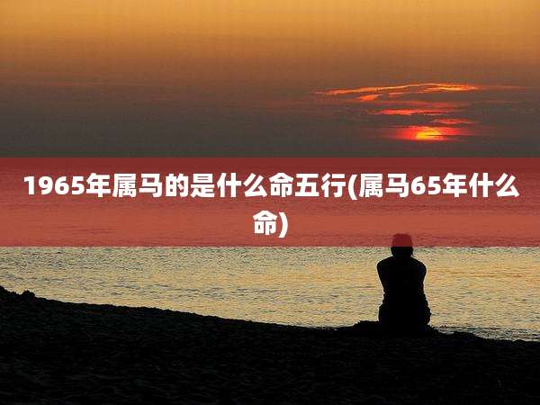 1965年属马的是什么命五行(属马65年什么命)