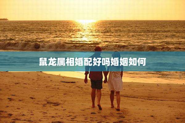 鼠龙属相婚配好吗婚姻如何