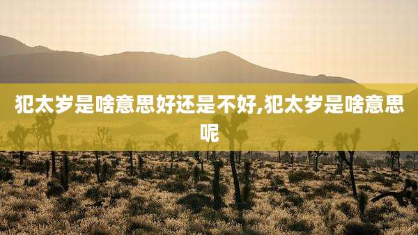 犯太岁是啥意思好还是不好,犯太岁是啥意思呢