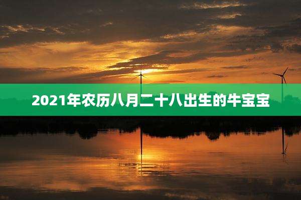 2021年农历八月二十八出生的牛宝宝