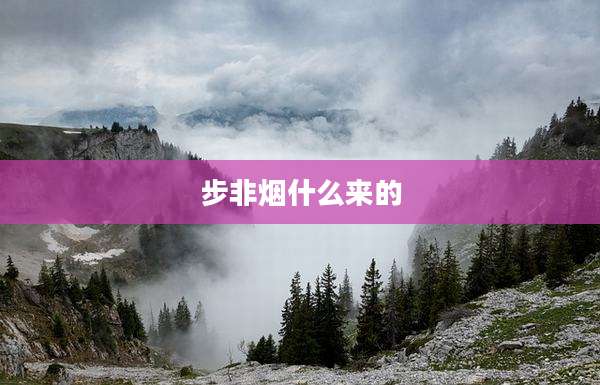 步非烟什么来的