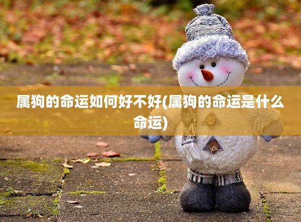 属狗的命运如何好不好(属狗的命运是什么命运)