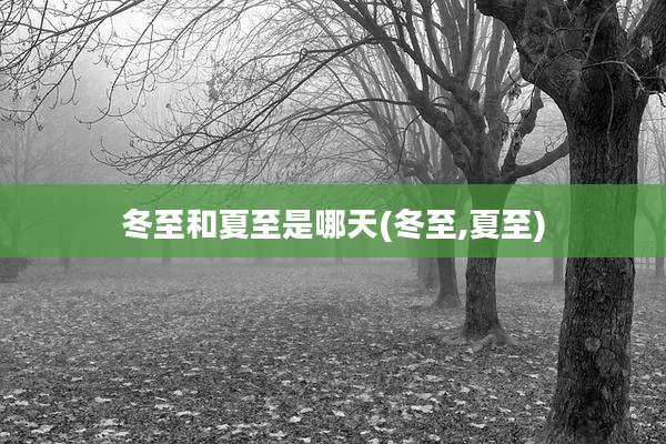冬至和夏至是哪天(冬至,夏至)