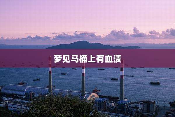 梦见马桶上有血渍