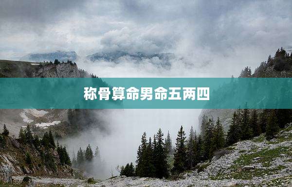 称骨算命男命五两四