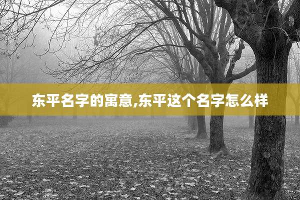 东平名字的寓意,东平这个名字怎么样
