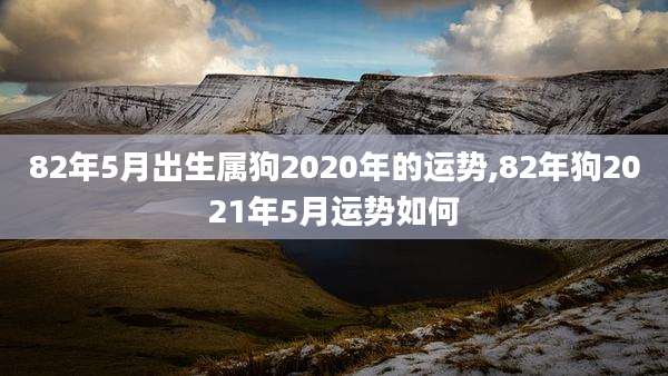 82年5月出生属狗2020年的运势,82年狗2021年5月运势如何