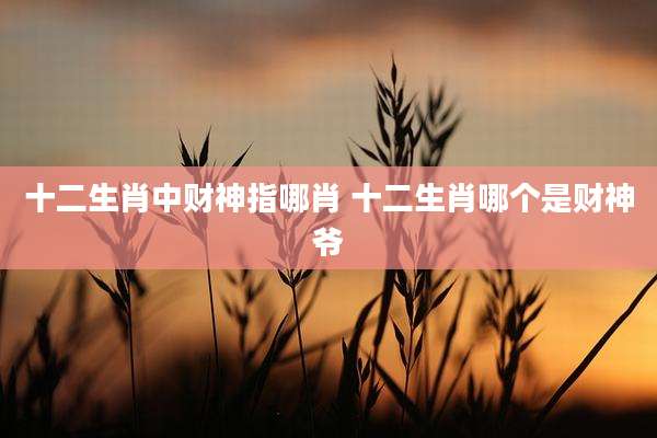 十二生肖中财神指哪肖 十二生肖哪个是财神爷