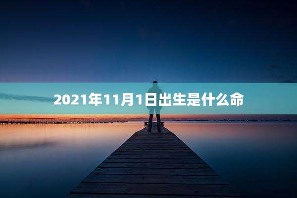 2021年11月1日出生是什么命