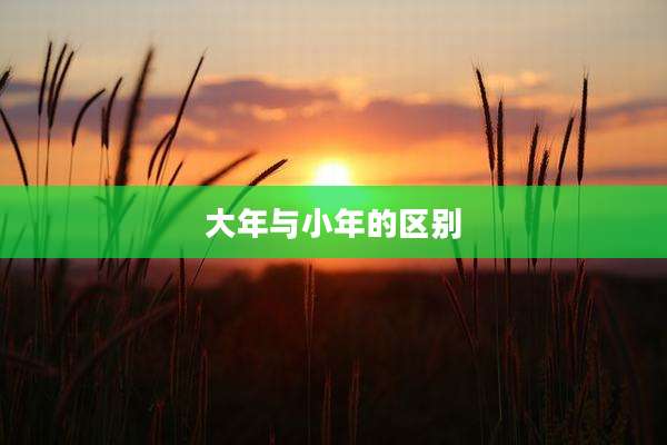 大年与小年的区别