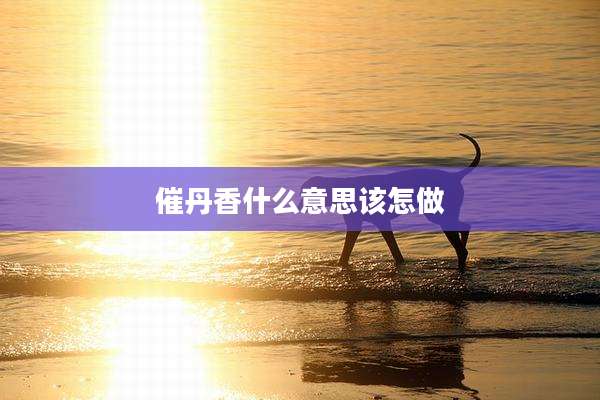 催丹香什么意思该怎做
