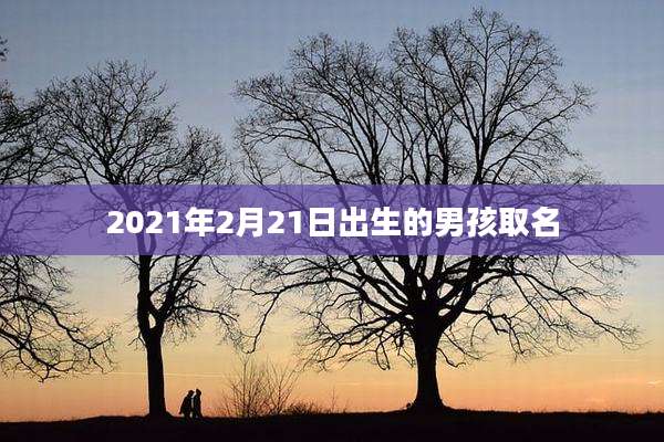 2021年2月21日出生的男孩取名