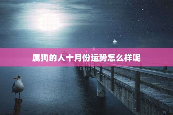 属狗的人十月份运势怎么样呢