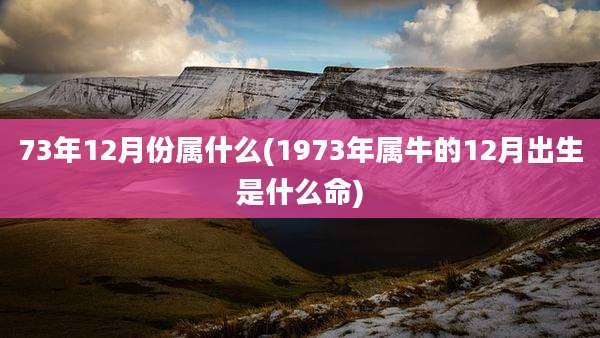 73年12月份属什么(1973年属牛的12月出生是什么命)