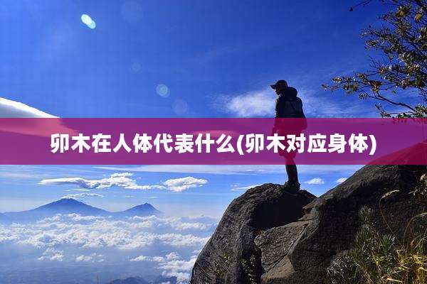 卯木在人体代表什么(卯木对应身体)