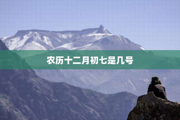 农历十二月初七是几号