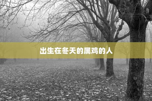 出生在冬天的属鸡的人