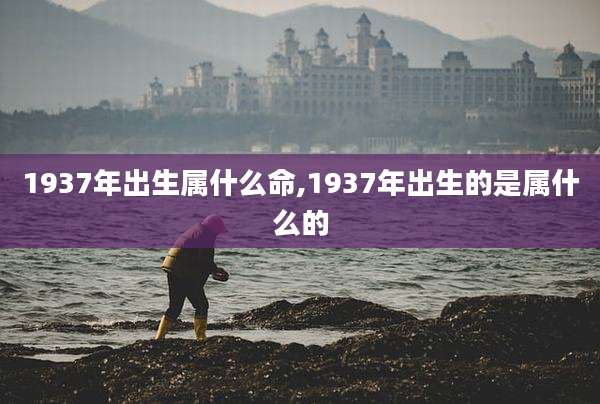 1937年出生属什么命,1937年出生的是属什么的