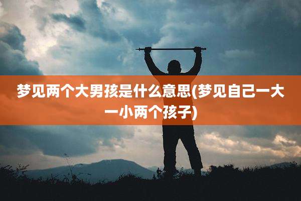 梦见两个大男孩是什么意思(梦见自己一大一小两个孩子)
